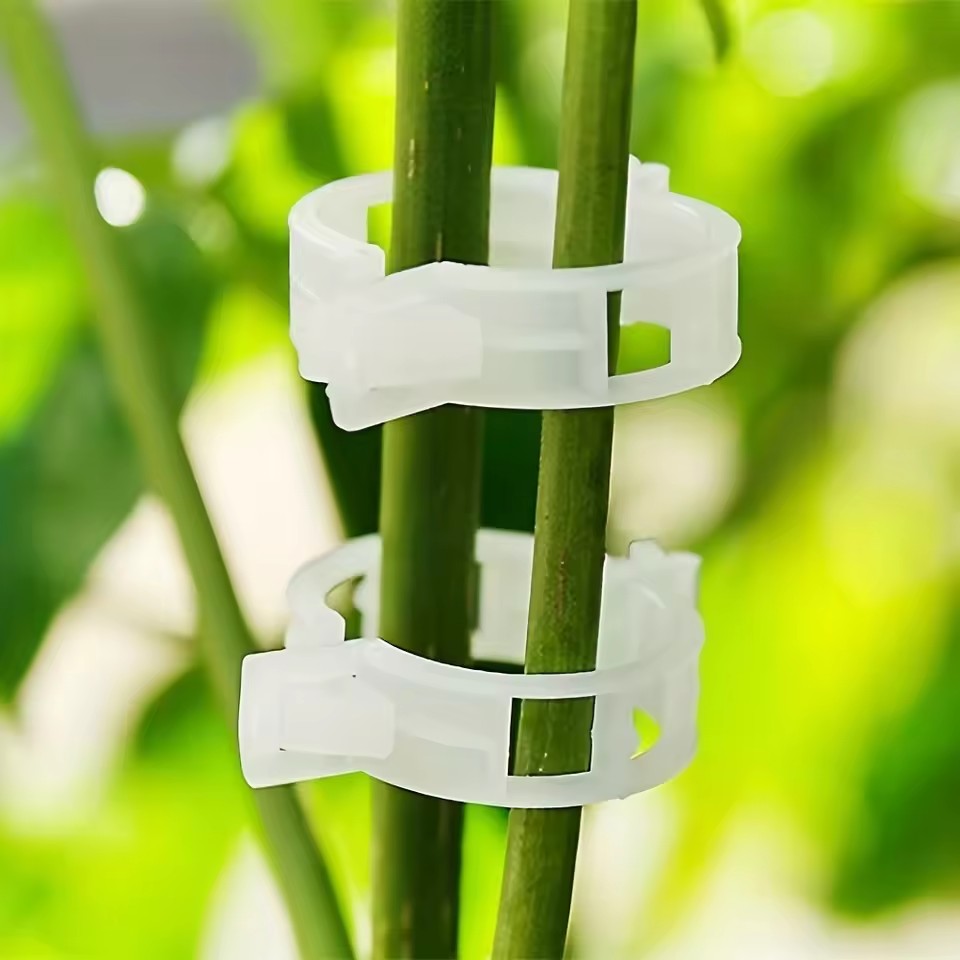 20Pcs Plant Support Clips,Snap - Gardening Tools Vegetables review and price