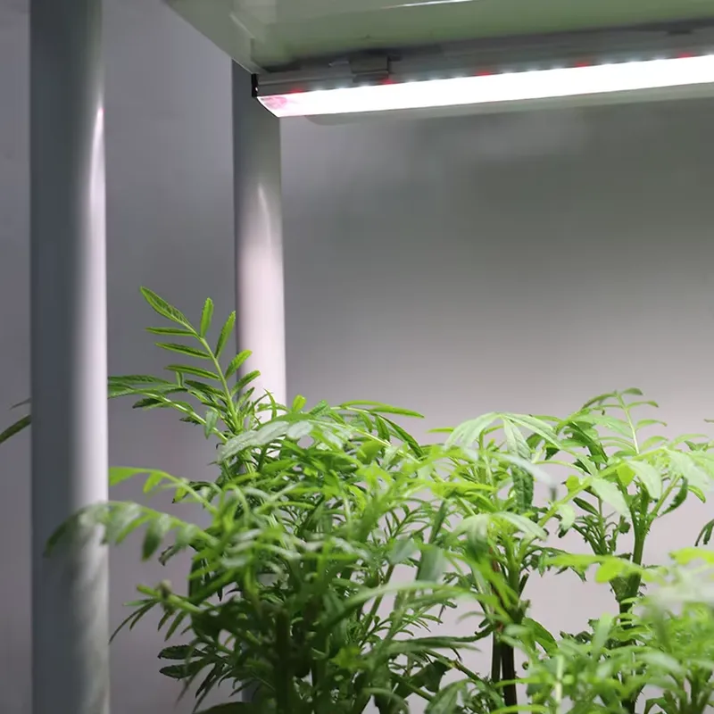 Movable Vertical Grow 3 Level  - Self-Watering Planter review and price