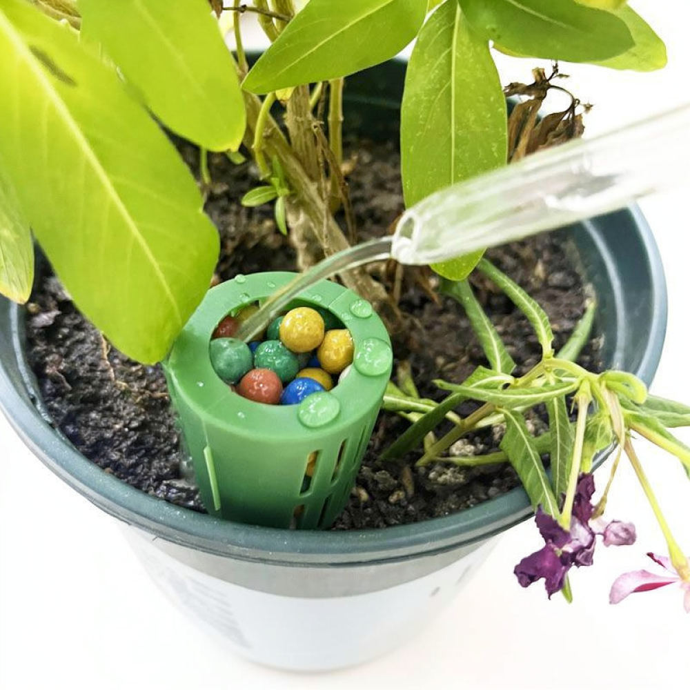 Fertilizer Box For Bonsai Plan - Gardening Tools Essential review and price