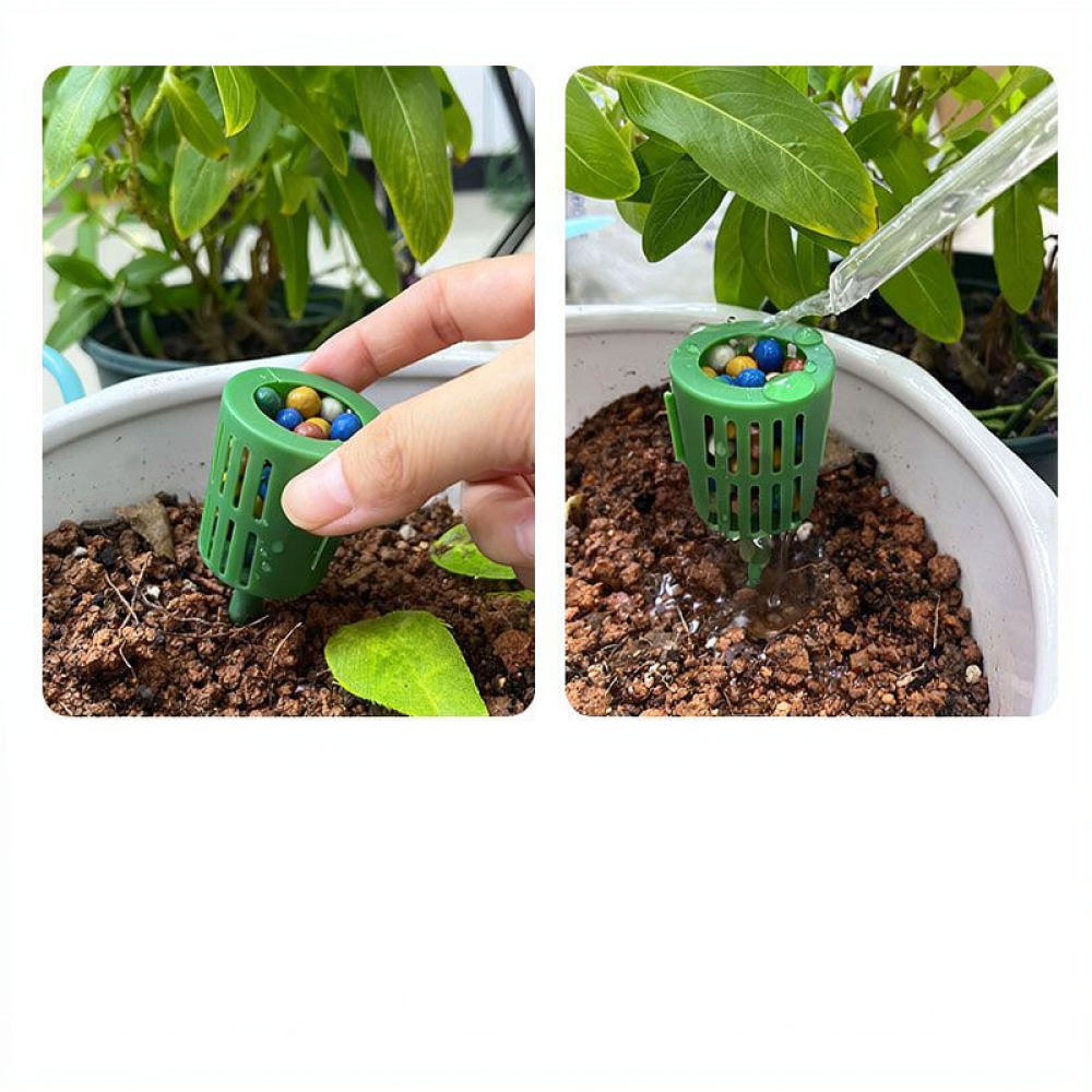 Fertilizer Box For Bonsai Plan - Gardening Tools Essential review and price