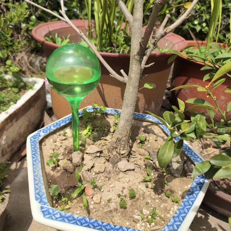 6PCS Indoor Plants Self Wateri - Automatic Plant Waterer review and price