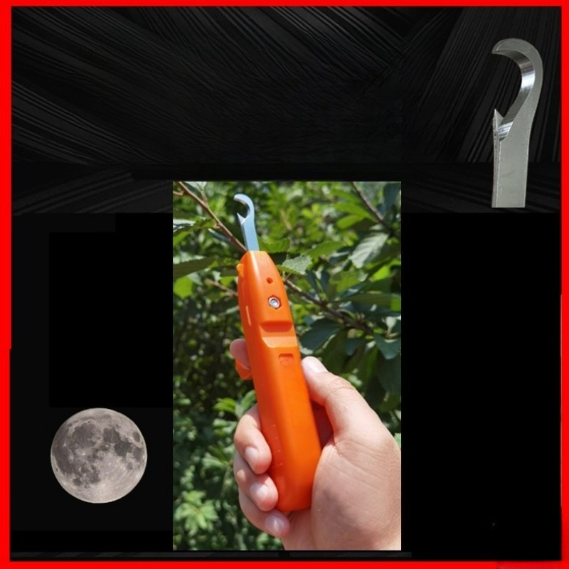 Fruit Picking Shears Stainless - Gardening Tools Vegetables review and price
