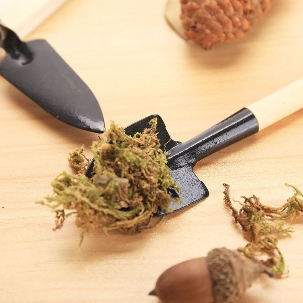 Multi-functional Mini Garden P - Spade Digging Fork review and price