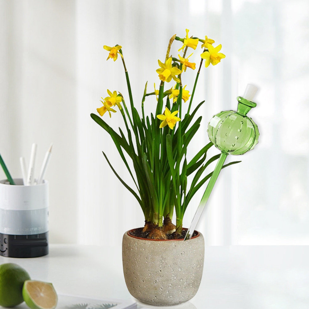 Automatic Self Spike for Indoo - Automatic Plant Waterer review and price